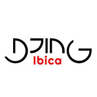 DJing Ibica